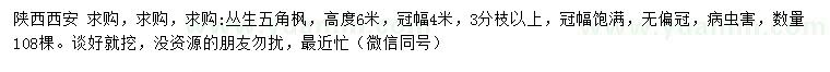 求購高度6米叢生五角楓