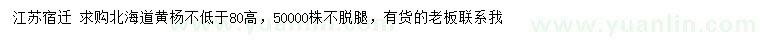 求購高80公分北海道黃楊