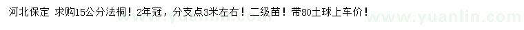 求購15公分法桐