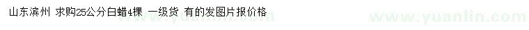 求購(gòu)25公分白蠟