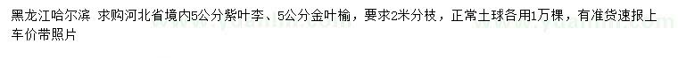求購(gòu)5公分紫葉李、金葉榆
