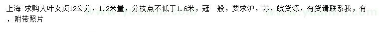 求購1.2米量12公分大葉女貞