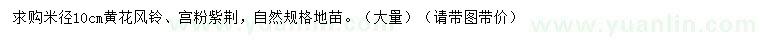 求購(gòu)米徑10公分黃花風(fēng)鈴、宮粉紫荊
