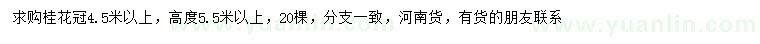 求購(gòu)高度5.5米以上桂花