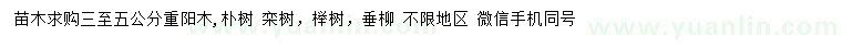 求購重陽木、樸樹、欒樹