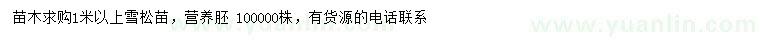 求購1米以上雪松苗