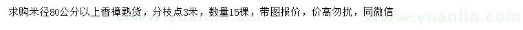 求購米徑80公分以上香樟