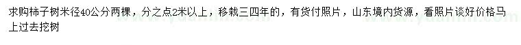 求購米徑40公分柿子樹