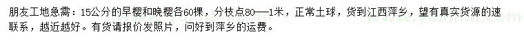 求購15公分早櫻、晚櫻