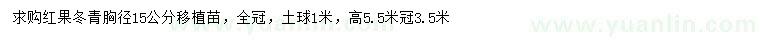 求購胸徑15公分紅果冬青