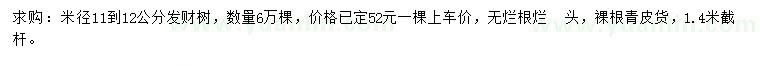 求購(gòu)米徑11-12公分發(fā)財(cái)樹(shù)