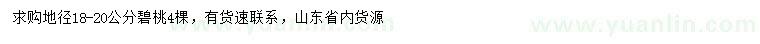 求購地徑18-20公分碧桃