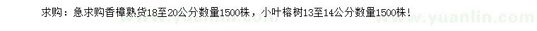 求購18-20公分香樟、13-14公分小葉榕樹