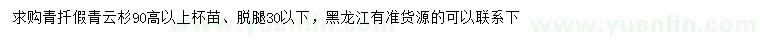 求購高90公分以上云杉