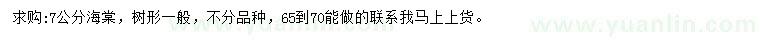 求購(gòu)7公分海棠