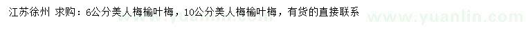 求購6、10公分美人梅、榆葉梅