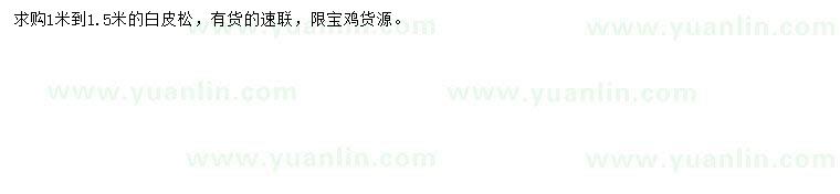 求購1-1.5米白皮松