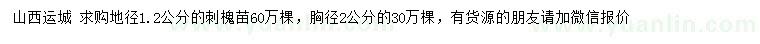 求購地徑1.2、2公分刺槐苗