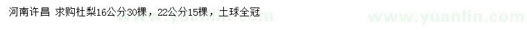 求購16、22公分杜梨