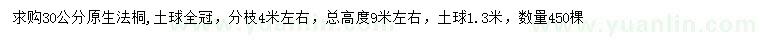 求購30公分原生法桐