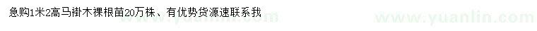 求購(gòu)高1.2米馬褂木