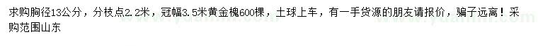 求購(gòu)胸徑13公分黃金槐