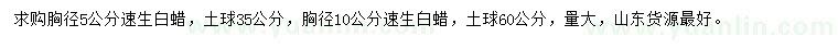 求購胸徑5、10公分速生白蠟