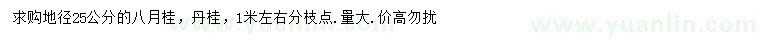 求購地徑25公分八月桂、丹桂