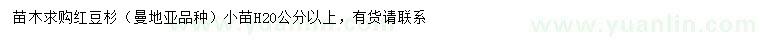 求購高20公分以上紅豆杉小苗