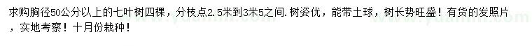 求購(gòu)胸徑50公分以上七葉樹
