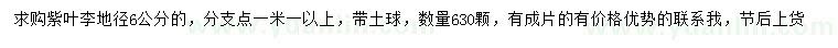 求購地徑6公分紫葉李