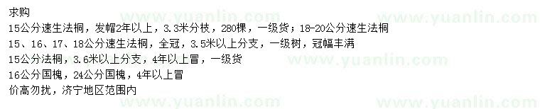 求購速生法桐、法桐、國槐