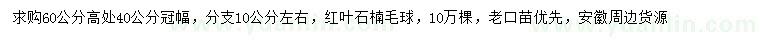 求購冠幅40公分紅葉石楠毛球