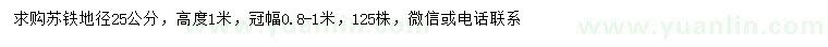 求購(gòu)地徑25公分蘇鐵