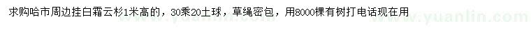 求購高1米云杉