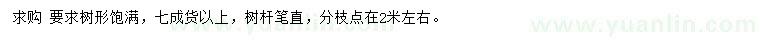 求購米徑31公分銀杏