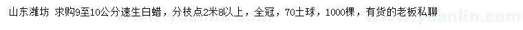 求購9-10公分速生白蠟