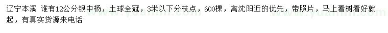 求購12公分銀中楊