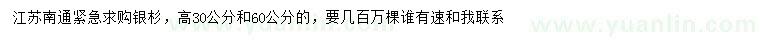 求購高30、60公分銀杉