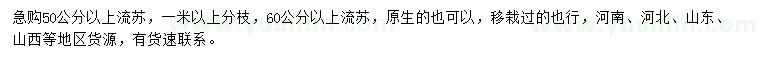 求購50、60公分以上流蘇