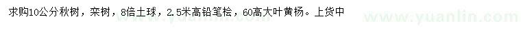 求購(gòu)楸樹(shù)、欒樹(shù)、鉛筆檜等