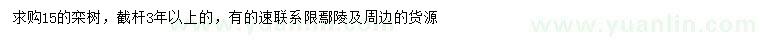 求購15公分欒樹
