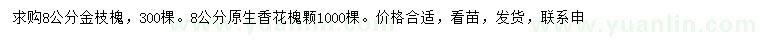 求購8公分金枝槐、香花槐