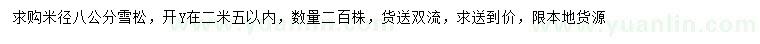求購米徑8公分雪松