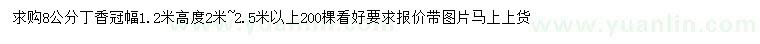 求購8公分丁香