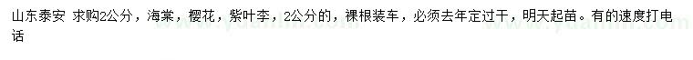 求購海棠、櫻花、紫葉李