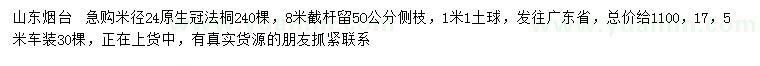 求購米徑24公分法桐