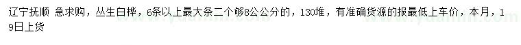 求購6條以上叢生白樺