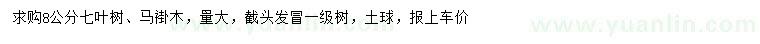 求購(gòu)8公分七葉樹、馬褂木