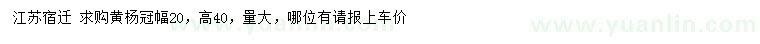 求購冠幅20公分黃楊